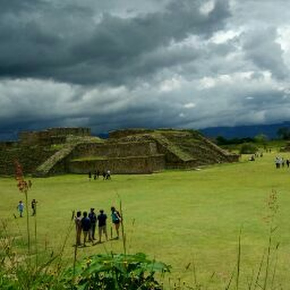 Meet your Posher, Daisy